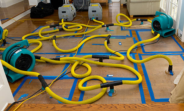 Professional Basement Flood Cleanup technician working in Hickman, NE